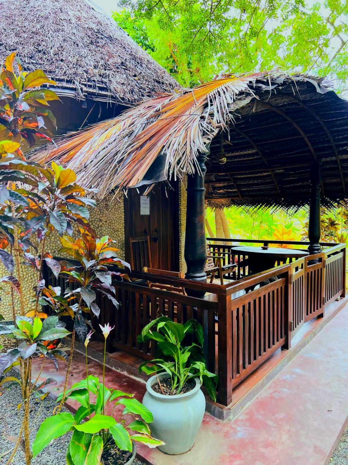 Turtle Watch Cabana Tangalle Exterior foto