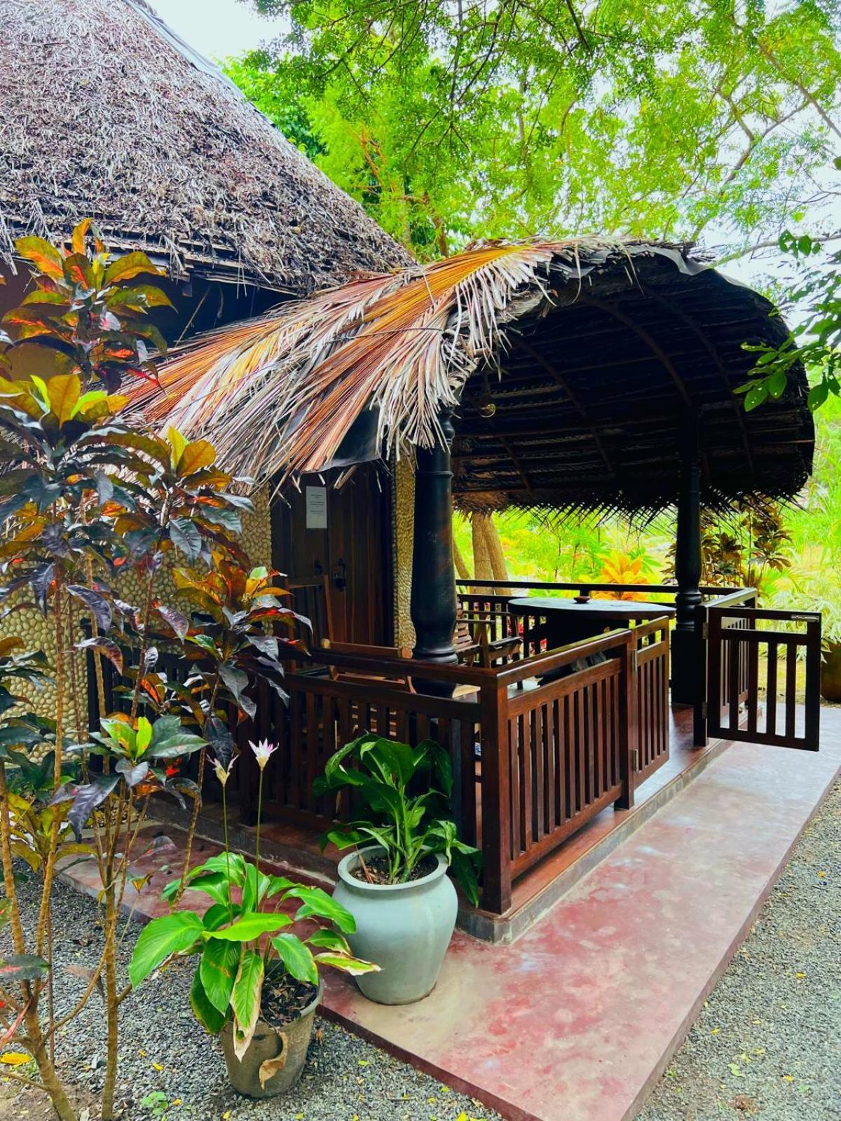 Turtle Watch Cabana Tangalle Exterior foto